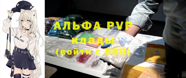 хмурый Пестово