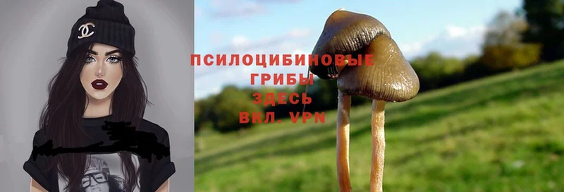 Галлюциногенные грибы MAGIC MUSHROOMS  МЕГА рабочий сайт  Петушки 